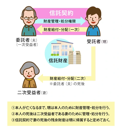 35歳以上の子なし夫婦へ｜いつか来る相続のためにこれだけは知って